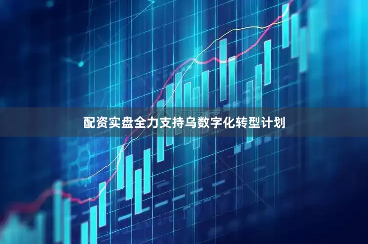 配资实盘全力支持乌数字化转型计划