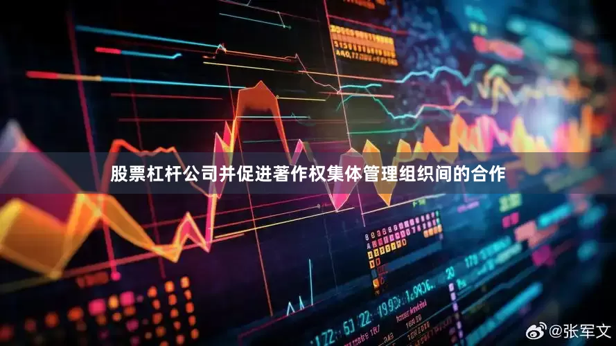 股票杠杆公司并促进著作权集体管理组织间的合作
