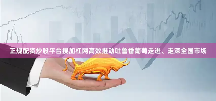 正规配资炒股平台搜加杠网高效推动吐鲁番葡萄走进、走深全国市场