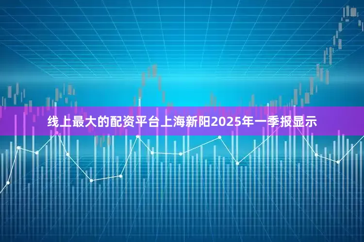 线上最大的配资平台上海新阳2025年一季报显示