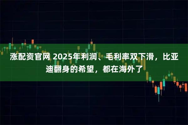 涨配资官网 2025年利润、毛利率双下滑，比亚迪翻身的希望，都在海外了